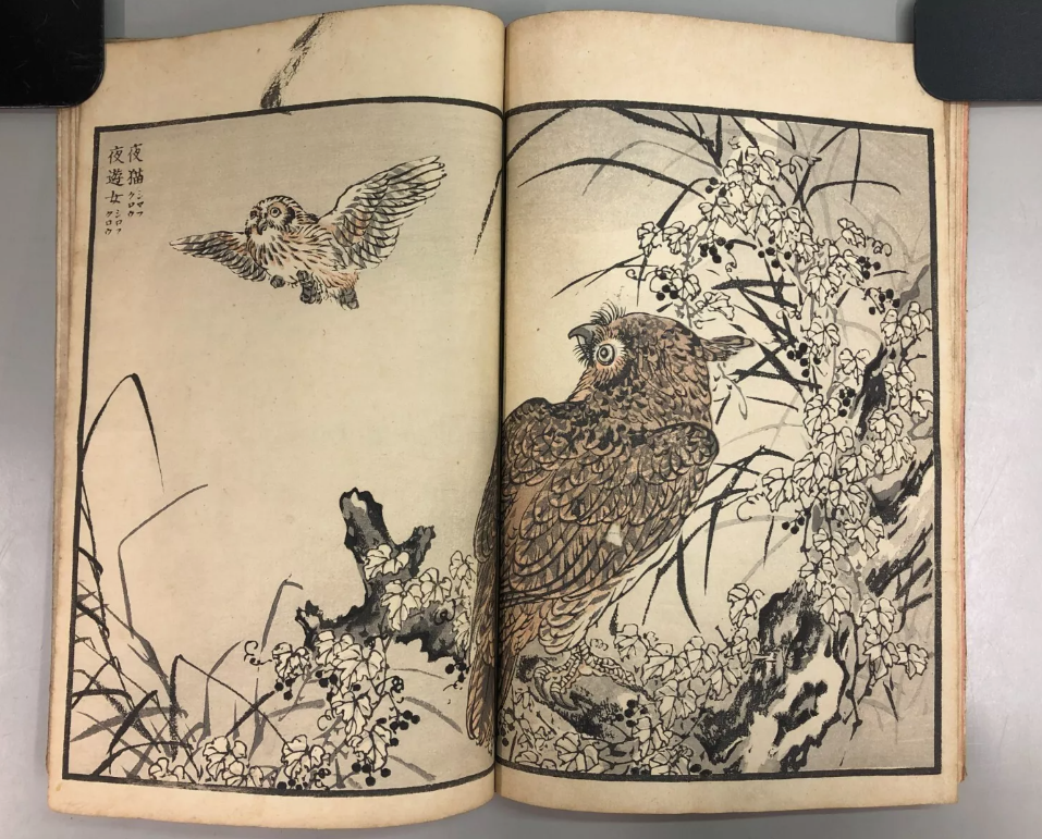楳嶺百鳥画譜続編