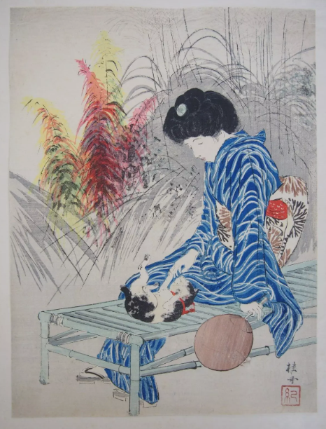 猫と女