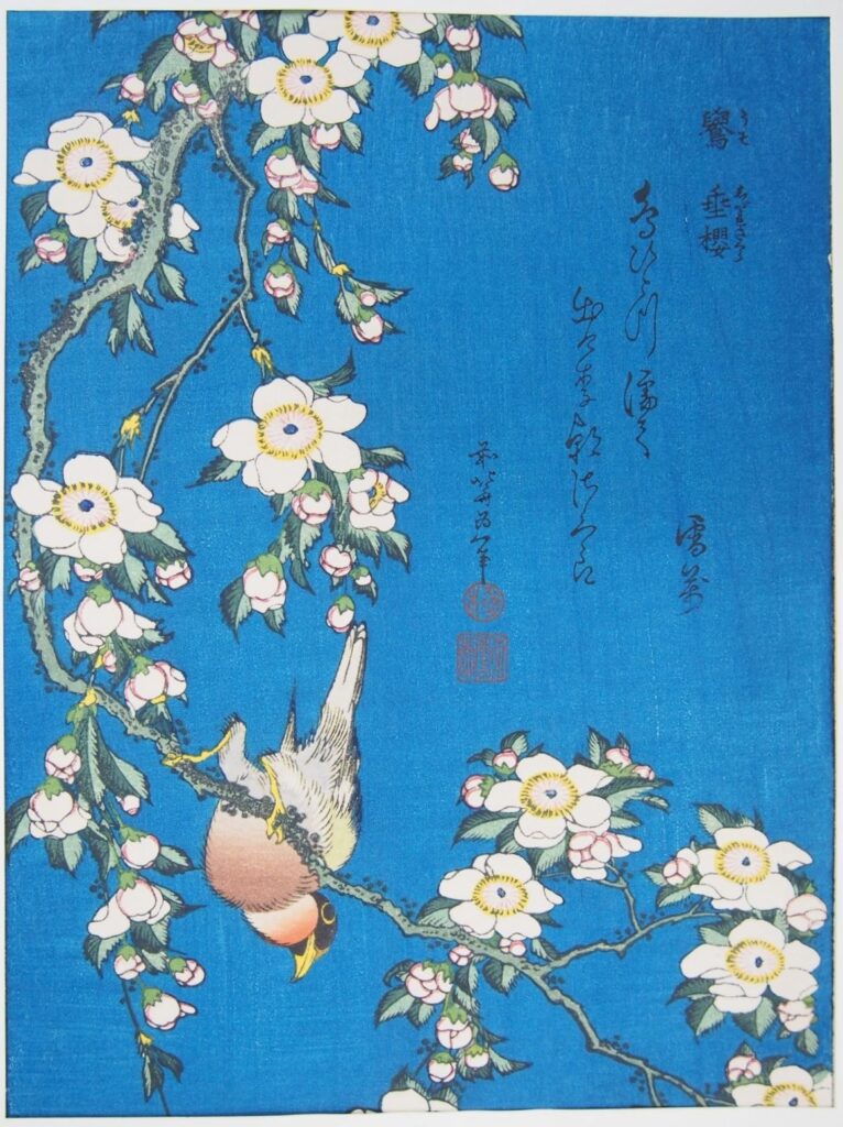 葛飾北斎 鷽に垂桜